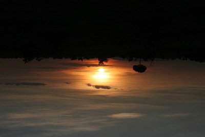 IMG_6063.jpg