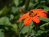 botanischer-garten_3