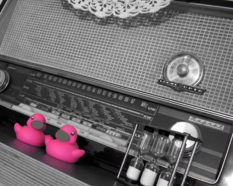 pink-quitscheentenrock