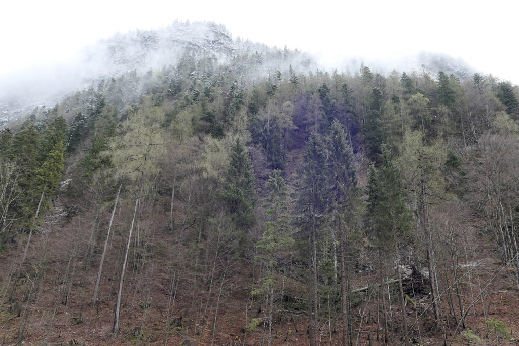 Leutasch im Nebel