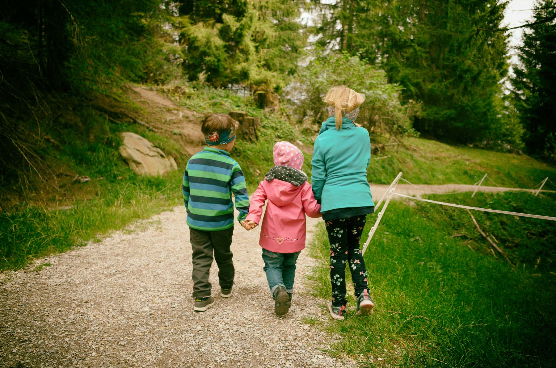 Kinder beim Wandern