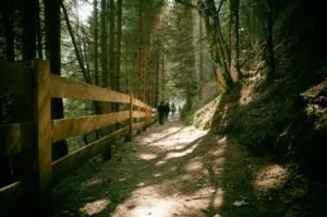 Freizeitticket zum Wandern