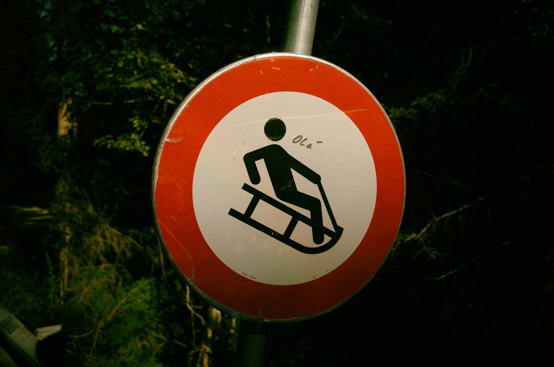Rodeln mit dem Freizeitticket